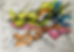 signal-2023-12-04-111609_004.jpeg