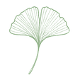 Gingko grün_ohne Hintergrund.png
