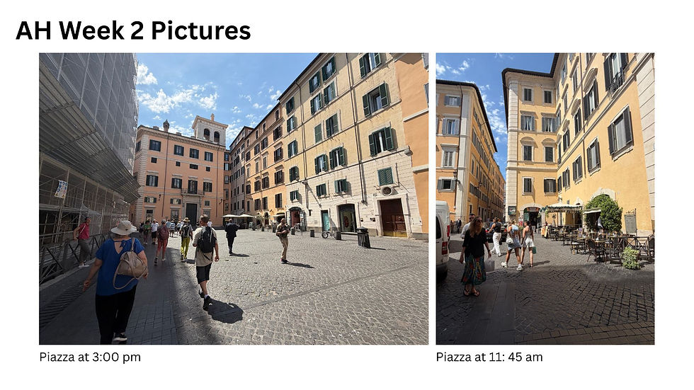Piazza Study