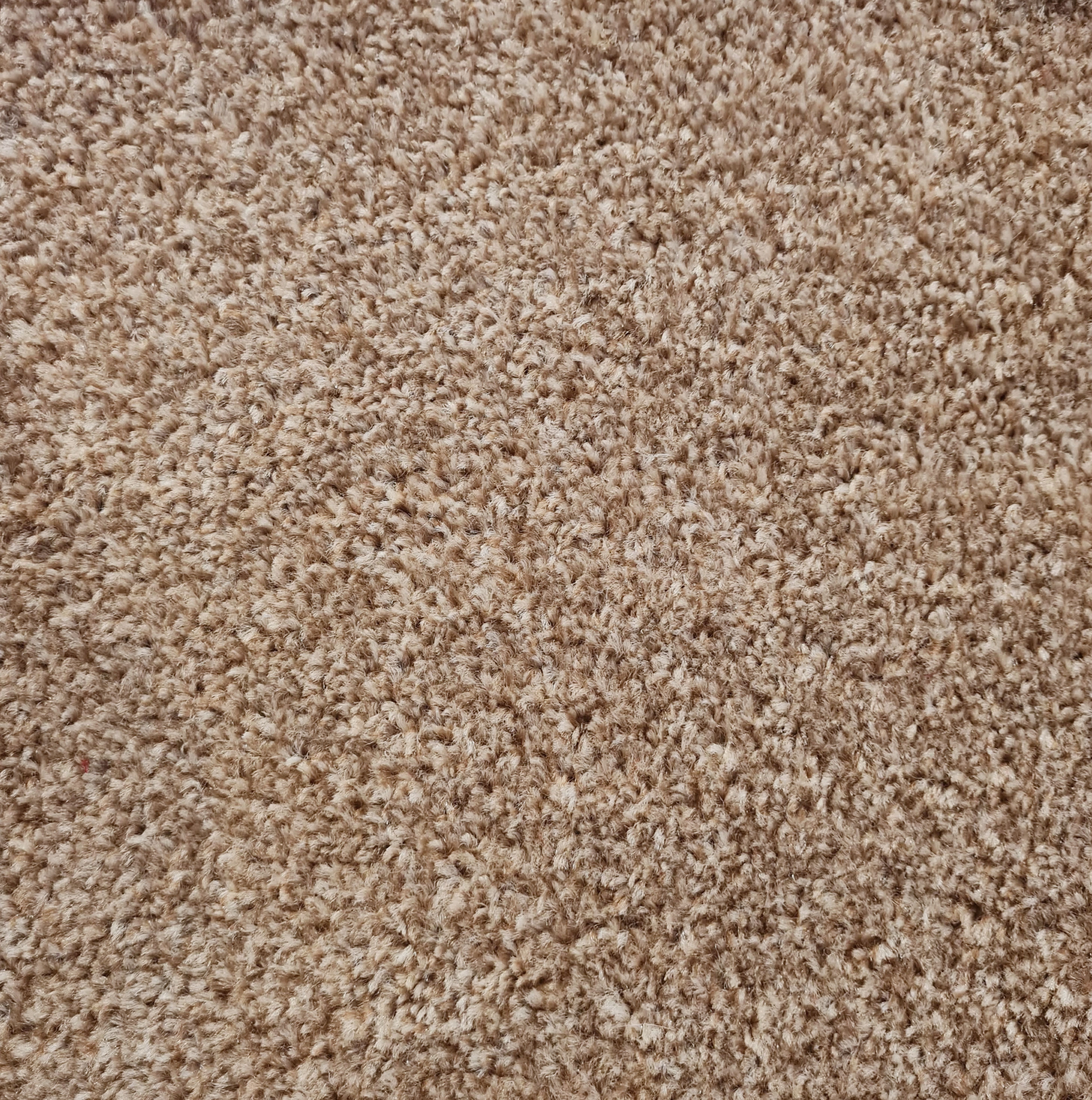 Alfombra Pelo Cortado Valentino Capuchino