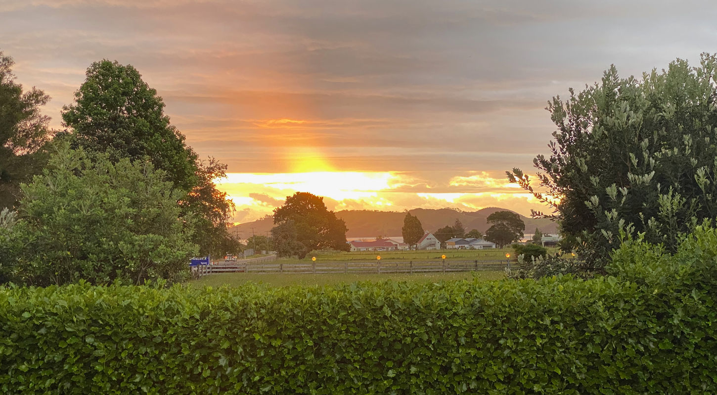 Recent - 1 of 1 (5).jpeg