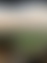 Go To Market myths which still exist in 2026