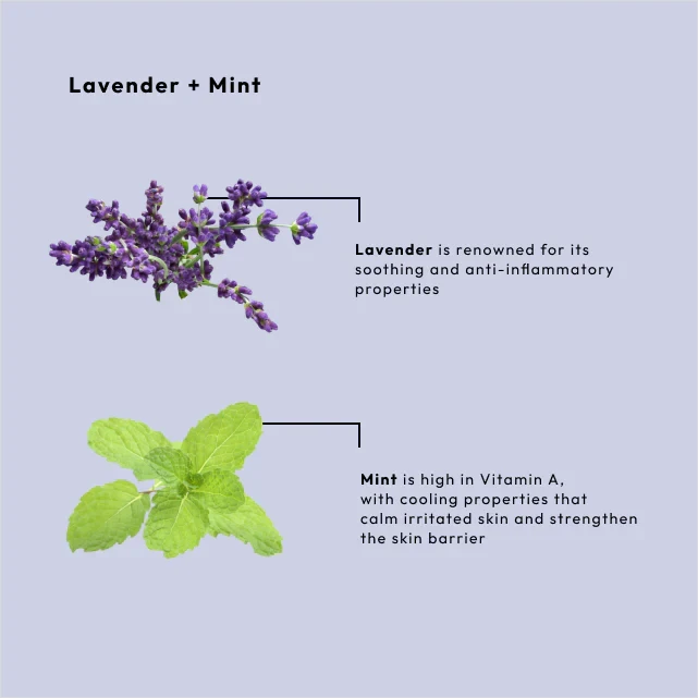 Thumbnail: BCL Lavender + Mint Sugar Scrub (16 oz)