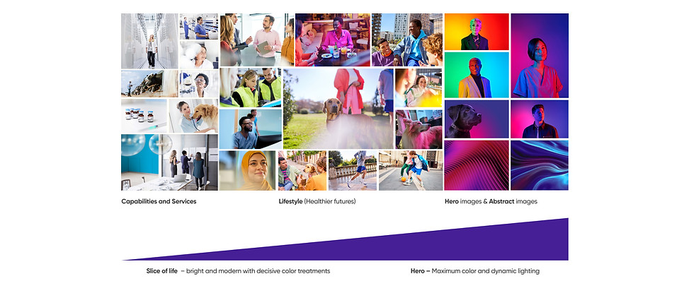 Photo Style Chart.jpg