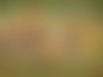 Çalışma Hayatında Biyomimikri