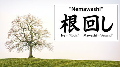 Nemawashi (根回し)
