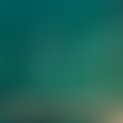 5 Alasan Mengapa Kaniki Adalah Pilihan Terbaik sebagai Organizer untuk Corporate Event Anda