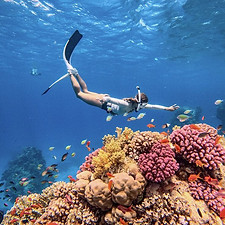 Snorkeling.jpg