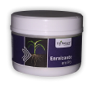 ENRAIZANTE UPNATURE
