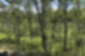 genMid.4864005_0.jpg