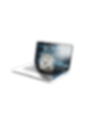 Asset 15_4x.png