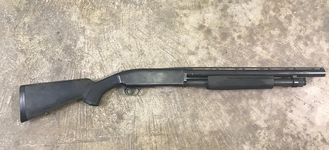 Shotgun in 10ga.JPG