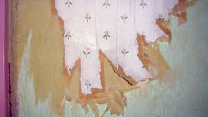 wallpaper removal and stripping