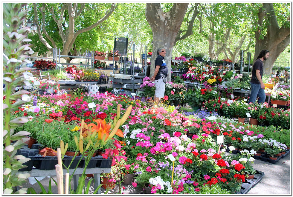 160611-2490-Marché-Uzes-Gard (13).jpg