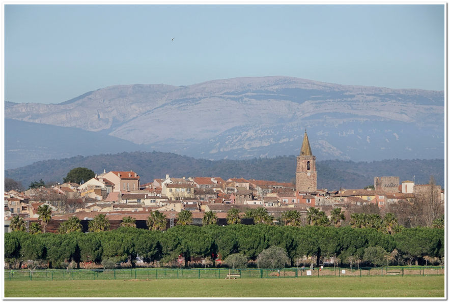 Fréjus - Var