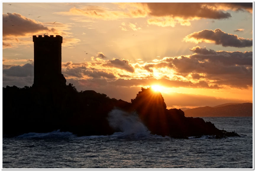 Ile D'or - St Raphaël - Var