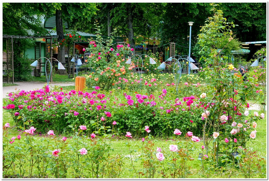 Parc de la Pépinière - Nancy - Meurthe et Moselle