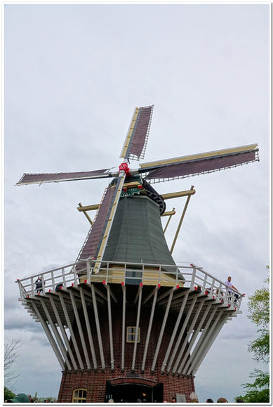 Moulin - Keukenhof - Hollande