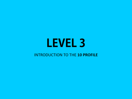 LEVEL 3 