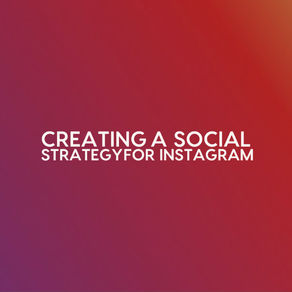 The Purpose of the Platform: Instagram Social Strategy