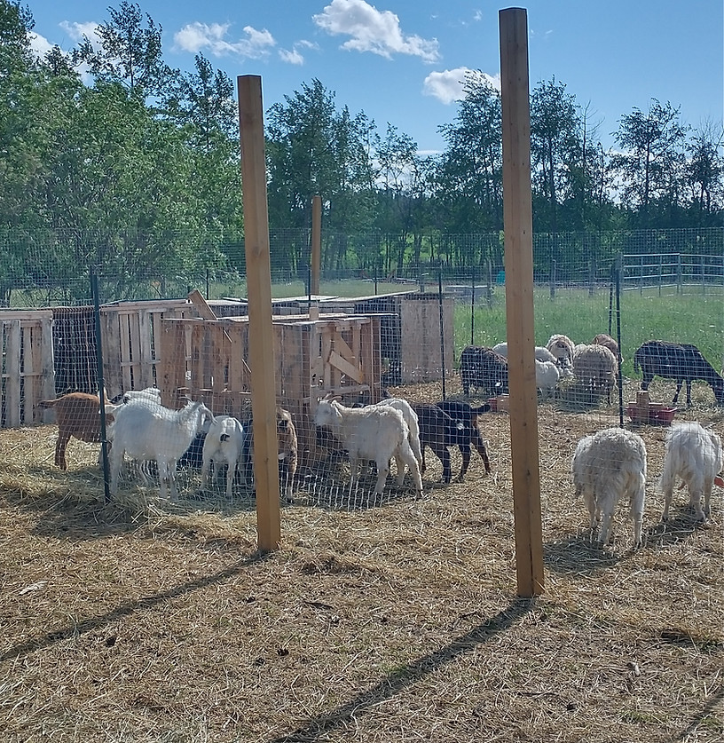 Better farming systems