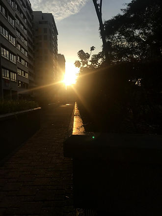 WhatsApp Image 2021-05-06 at 2.12.47 PM.