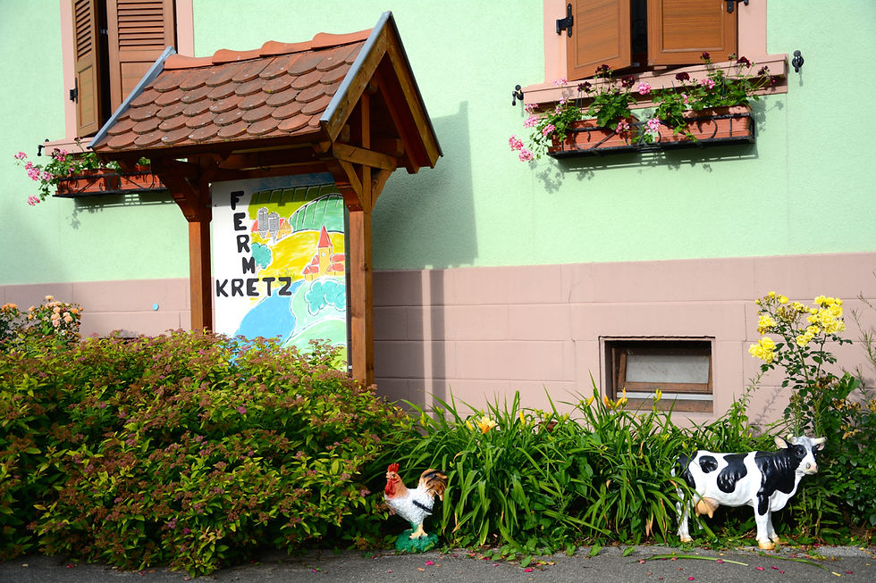 Gîte de la Ferme Kretz, Witternheim