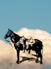 Save a horse.png