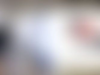 Elect Dorian Palmer Launches Voter Information Site