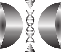 Alignment Modality 