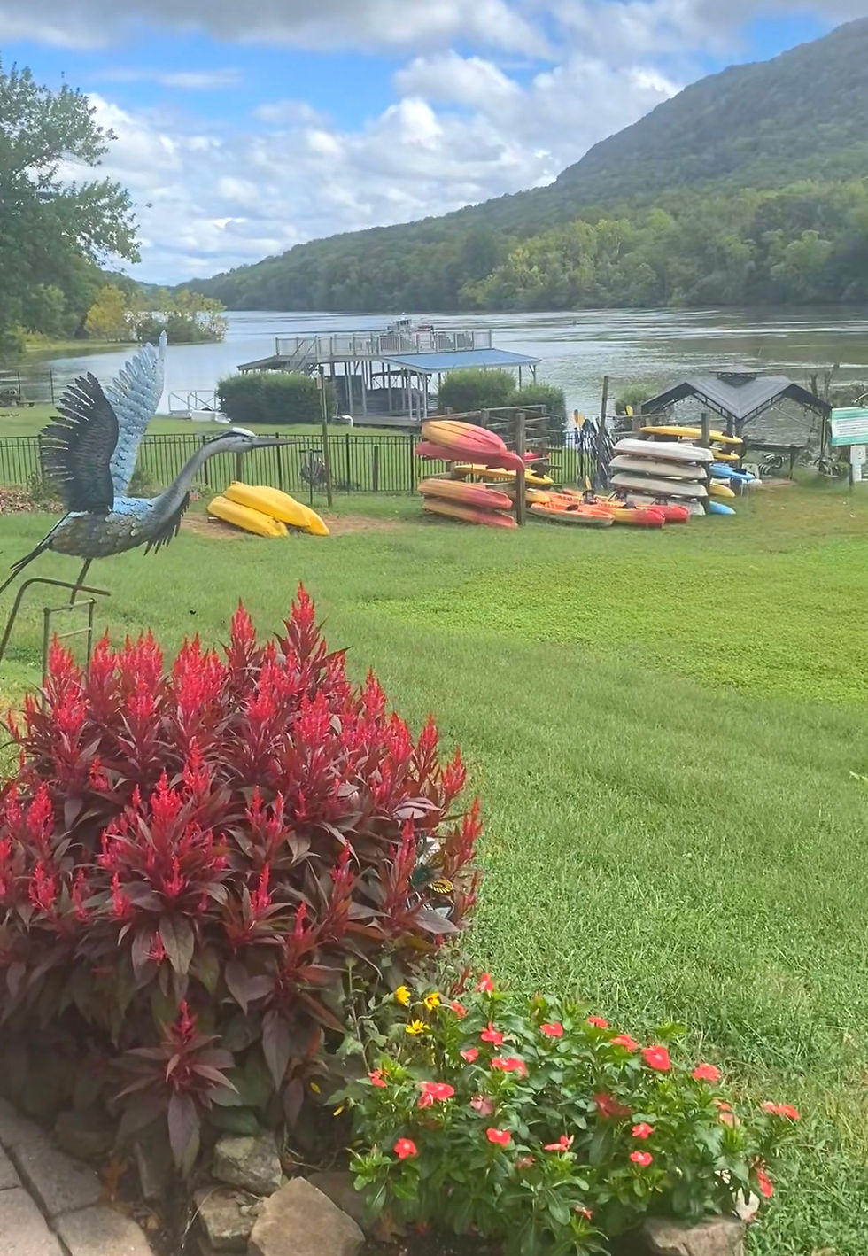 Wide angle view of TN River at Prentice Cooper State Park