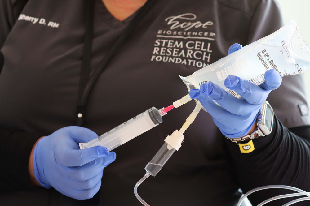 Mesenchymal Stem Cells in Action