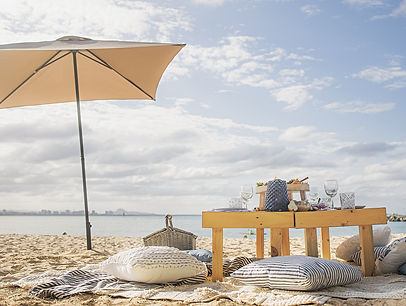 Boho Picnic