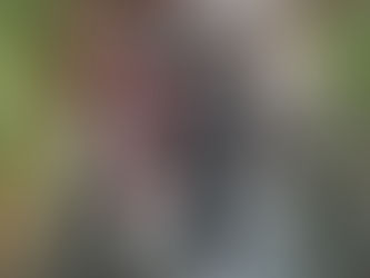 Getting a Bicycle in Tilburg: Locations and Benefits