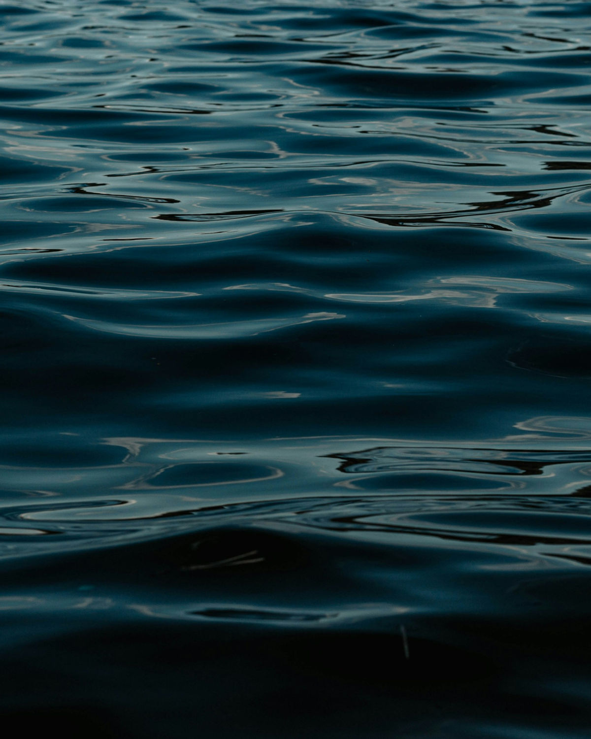 Sunlight tracing soft ripples across blue water