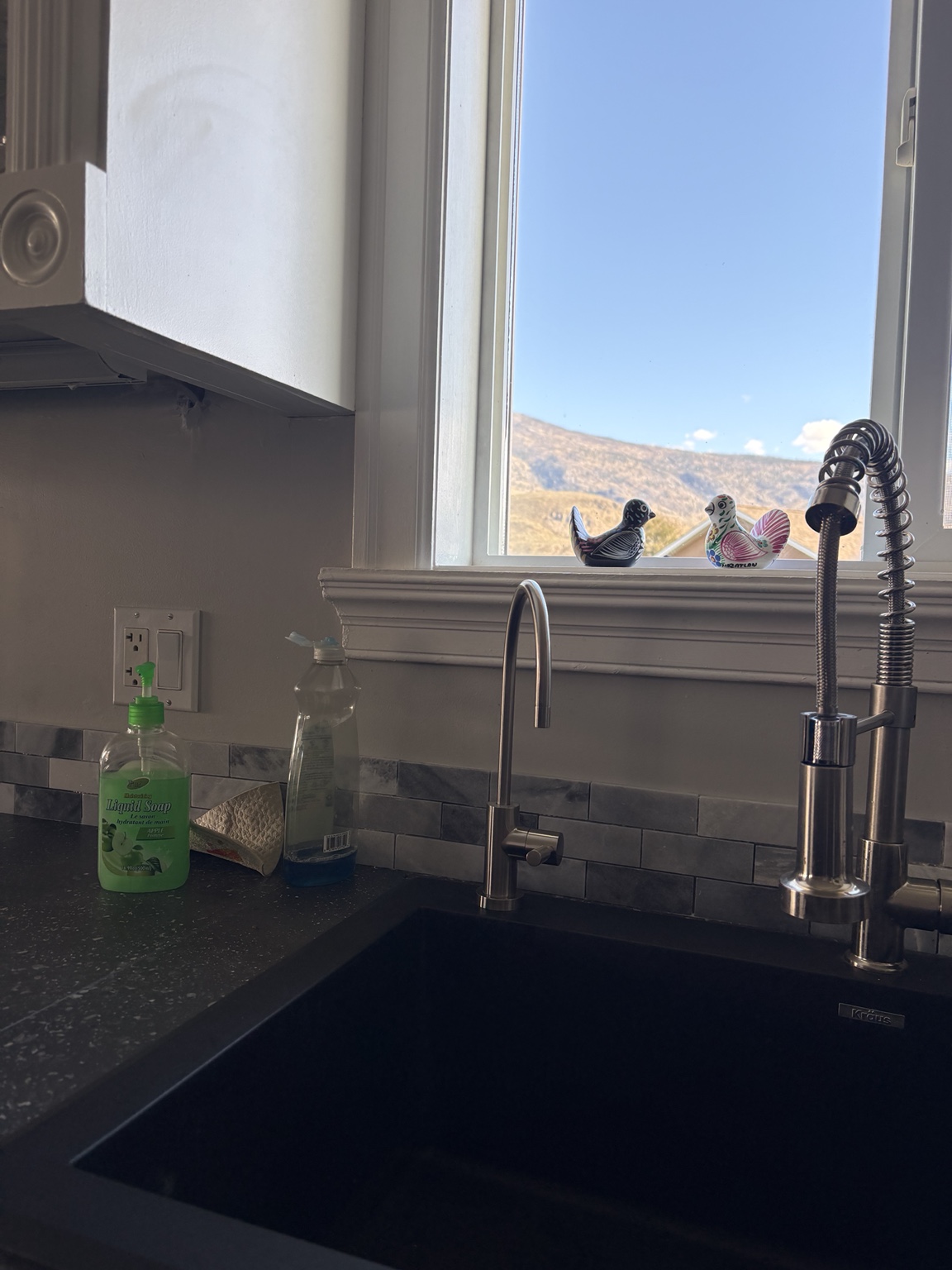 Brushed-nickel drinking-water faucet beside the main kitchen tap in an Oliver home