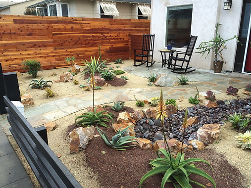 san-diego-drought-tolerant-garden.jpeg