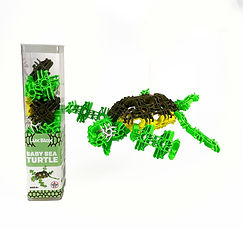 baby sea turtle with turtle.jpg