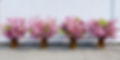 HF-Deliveries_Banner.jpg