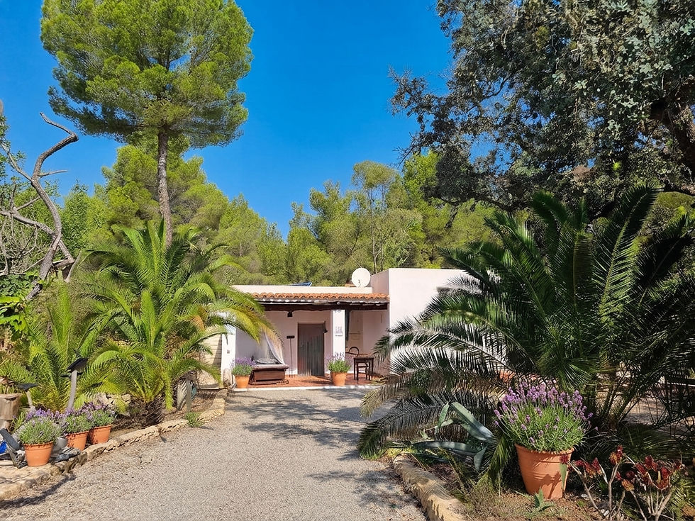 Sandra Doldinger Real Estate Ibiza