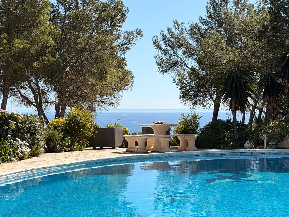 Couple with Campervan