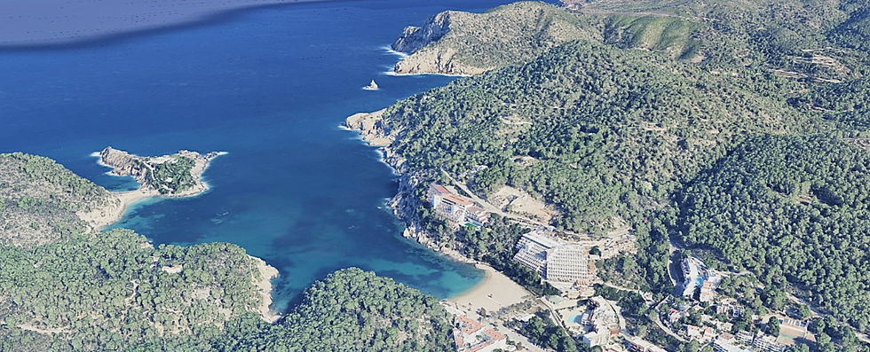 Couple with Campervan