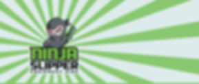 ninja slipper green background.jpg