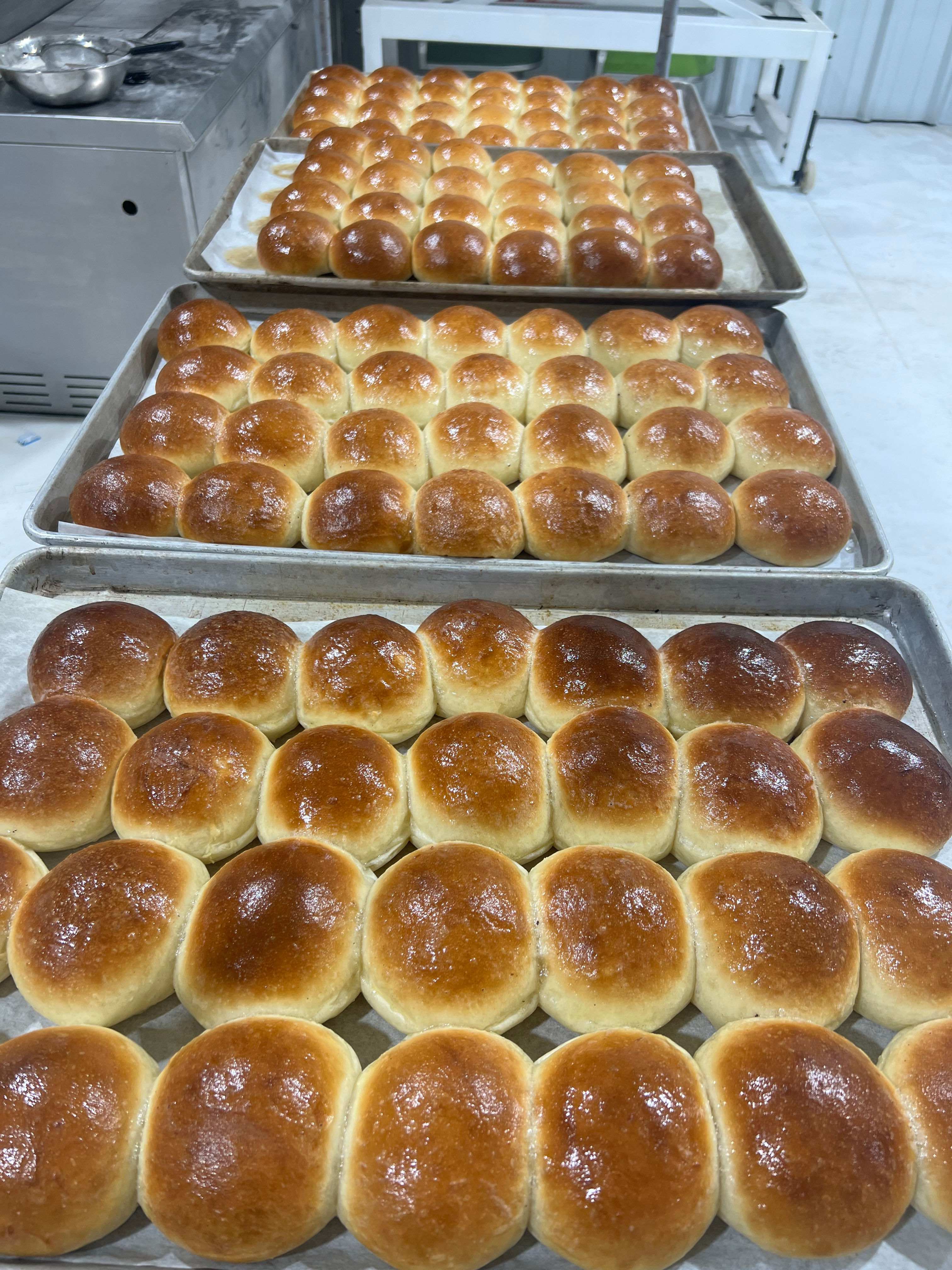 SOURDOUGH BUTTER ROLLS