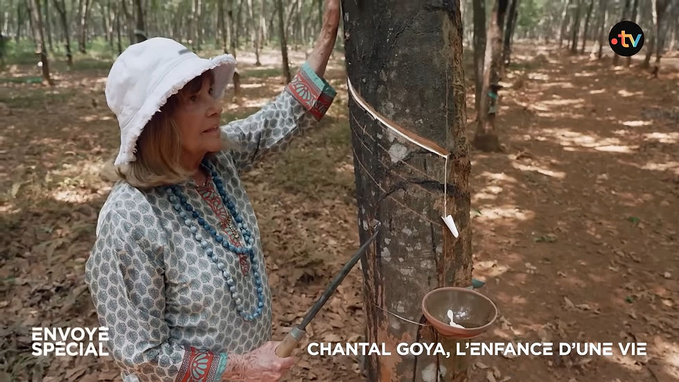 Chantal Goya visiting the historic Suzannah rubber plantation in Đồng Nai Province, Vietnam.