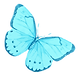 Blue Watercolor Butterfly_edited_edited.