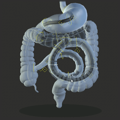 PowerSpiral Rig Movement