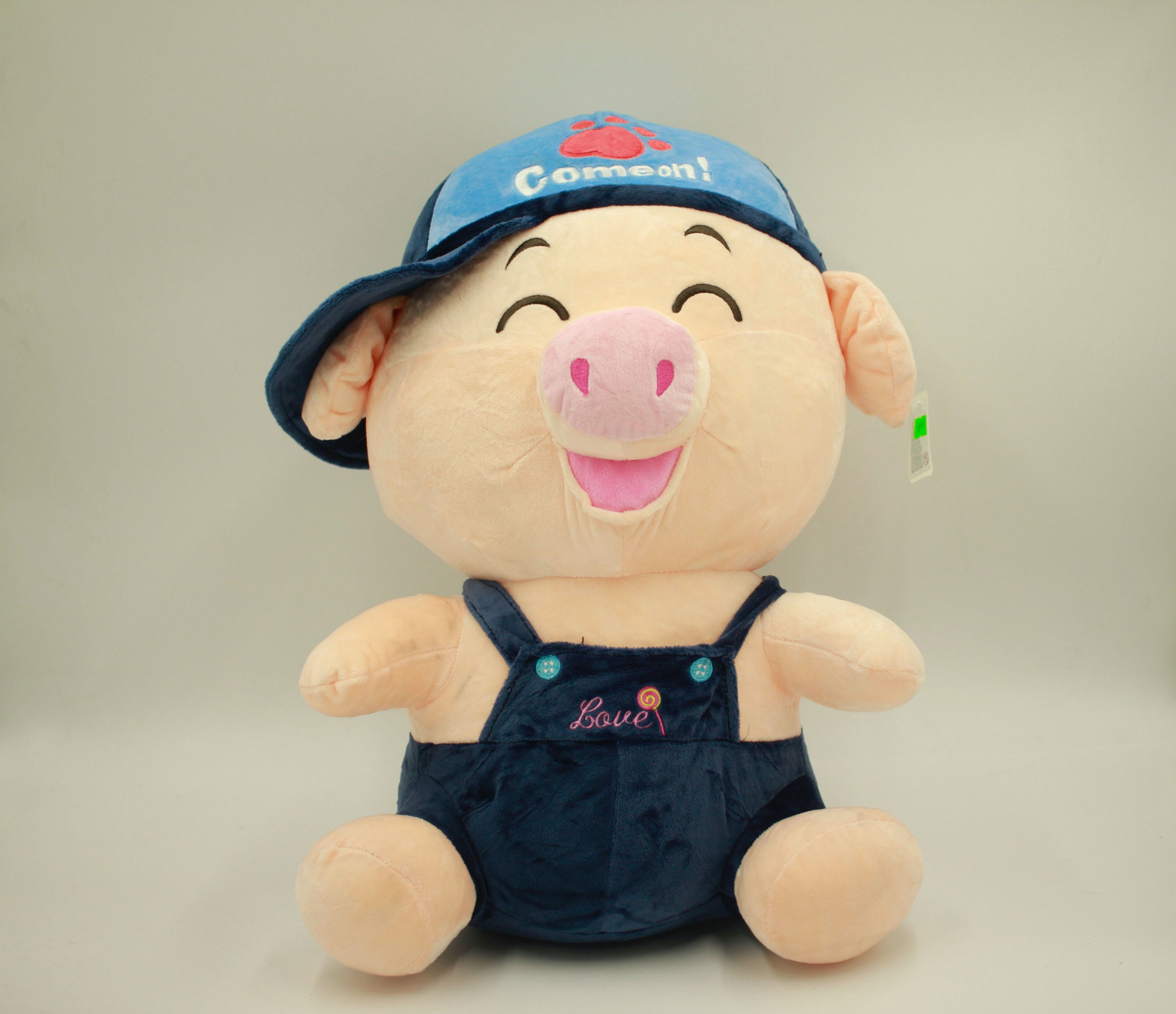 Chancho con gorro azul