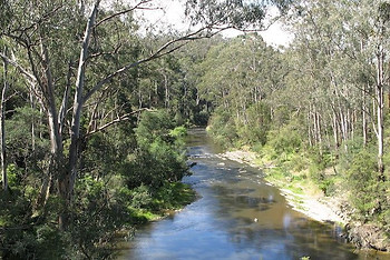 SignificantPlaces_Yarra_River_Pound_Bend