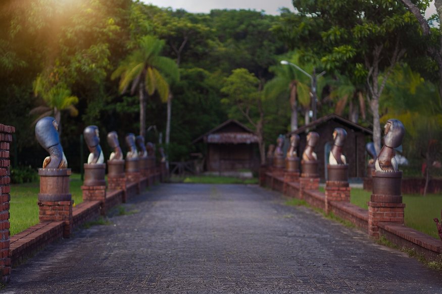 Design sem nome (5).png